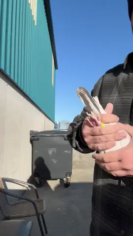 #الشعب_الصيني_ماله_حل😂😂 