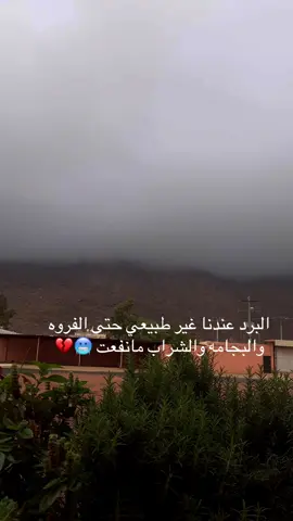 #نجران_الجنوب_اكسبلور🏃‍♀️ #najran #الشعب_الصيني_ماله_حل😂😂 #fyp #explore 