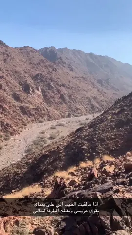 اذا مالقيت الطيب الي على يمناي بقوي عزومي وبقطع الطرقة لحالي#سبحان_الله_وبحمده_سبحان_الله_العظيم #وبران_ارانب_قهد_حجل #سجه 