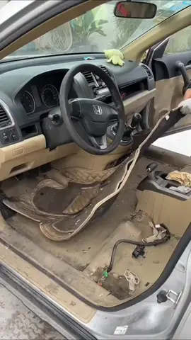 خلي الناس تحبك اهم حاجه حب الناس 🤚❤️#ايمن_الجوهرى 