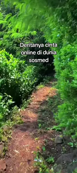 kisah nyata cinta di sosmed#belum jadi satu udah bubaran#fullfypvitikudong #fypppppppppppppppppppppppppppppppppppppp 