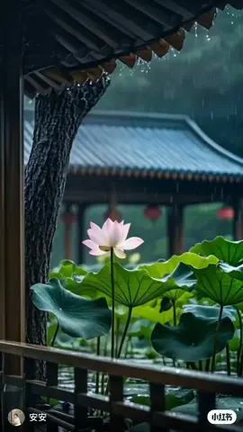 Im lặng để thấy cuộc đời bình yên hơn#thienytamlanh #phatphap #giaolynhaphat 