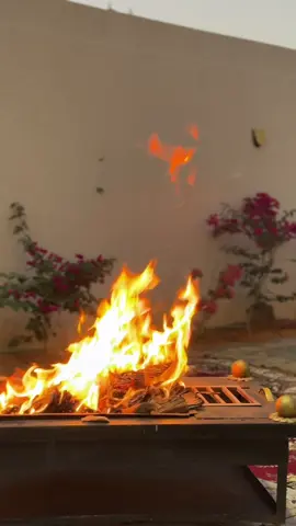 #اكسبلورexplore #تصويري📷 #ليالي_الشتاء 