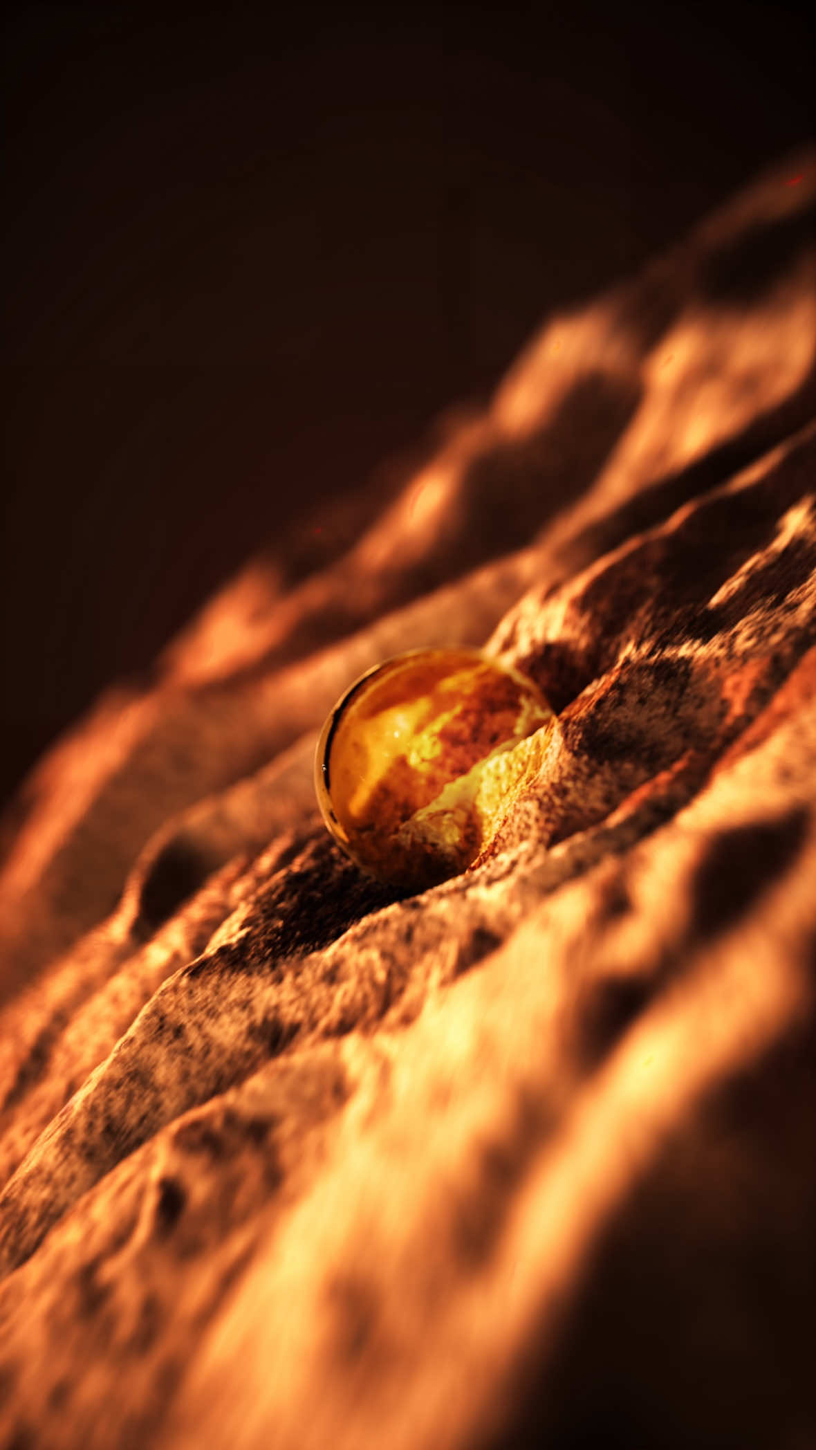 Creamy. Addictive. Warm. Cocoa Butter Absolute. Sourced from premium cocoa beans, it melts like chocolate on the skin, delivering a comforting gourmand glow. Meet the first facet of Cocoa Pulse™️, our exclusive Lattafa ingredient shaping the future of our creations. #Lattafa #LattafaPerfumes #CocoaPulse #NewExclusiveIngredient #LattafaNeverSleeps