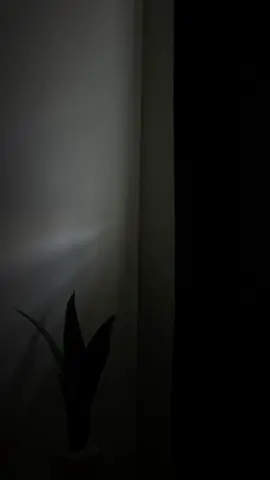 #𝗱𝗵𝗮𝗳a͜͡r͜͡🍂#somalilyrics🌺😕💎 #jawi_bila🌊❤️🌴 #fouryoupage 