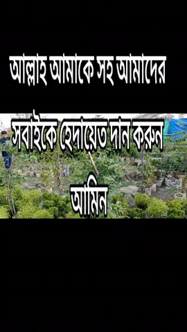 #ফরইউতে_দেখতে_#চাই চাই 