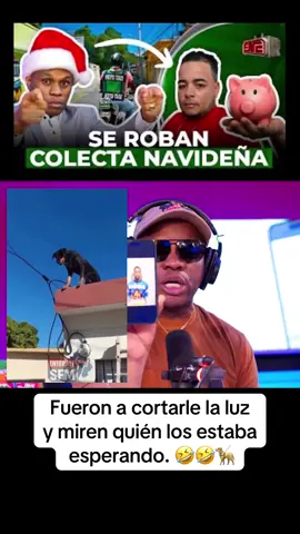 #ramontolentinord #tolentino #alofoke 