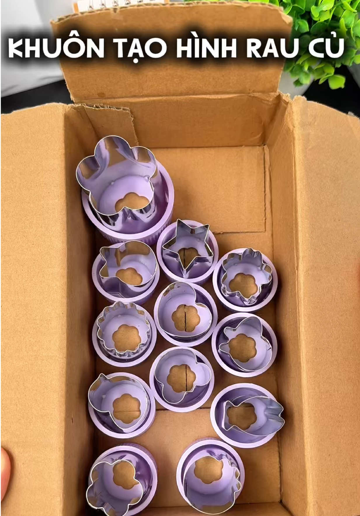 Bộ 12 khuôn tạo hình rau củ quả  @Em Thuý gia dụng  @Em Thuý gia dụng  @Em Thuý gia dụng #emthuygiadung #khuontaohinh #khuontaohinhraucuqua #khuonbanh 