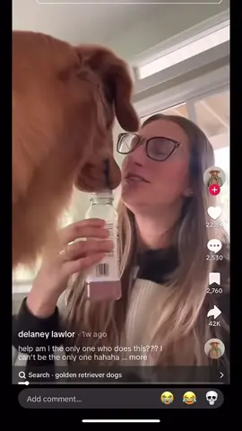 Leave the dogs #dogs #refmike 