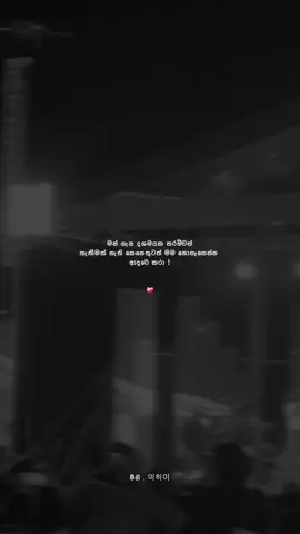 ම්ම්! 🤍 #mihi_quotes #fypシ゚viral #trending #whatsappstatus #viralvideo 