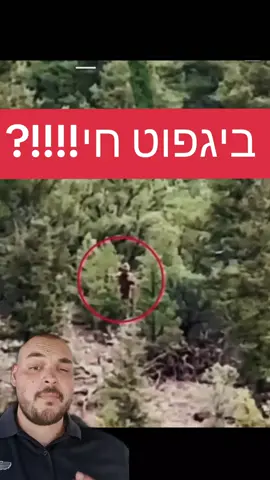 #fyp #foryoupage #foryou  כמה אנשים יכול לטיול ביער פתאום שמור רעשים של שאגות ראו משהו מבצבץ בין העצים וראו משהו שתזכיר את ביגפוט  שנה עם החיה הזאת אמיתית או שזה סתם פייק להפחיד אנשים  לעוד תוכן וסרטונים תעקבו ותנו לייק 😬🤔👹🤫