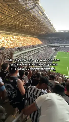 Slk mo dor no peito já kakak #mulherdepreso🔓🕊👫💍 #galoucura #atleticomineiro #galodoido #torcidaorganizada 