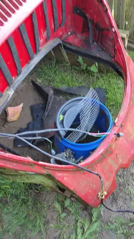 Bah ici @Johnny bygood y me vole mon cuiffe #humour #vw #volkswagen #beetle 