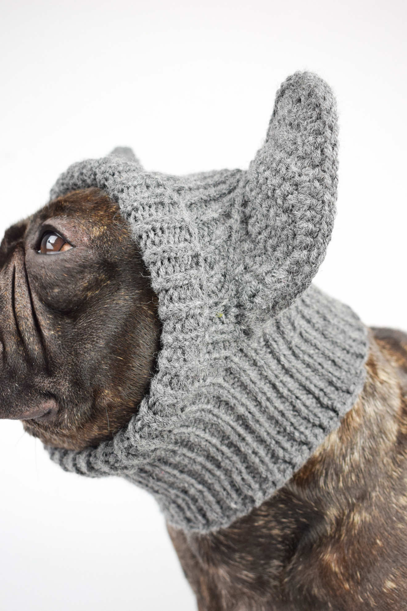 Для замовлення залишайте «+» або оформлюйте замовлення на нашому сайті 💌 #dog #outfits #autumnvibes #lookoftoday #hat