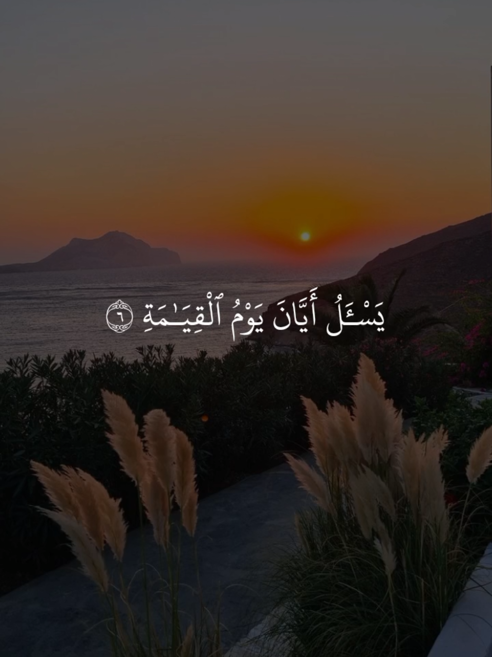 يَسْـَٔلُ أَيَّانَ يَوْمُ ٱلْقِيَـٰمَة  ... .. . #يسأل_أيان_يوم_القيامة #سورة_القيامة #القران_الكريم #quranvideo #quran 