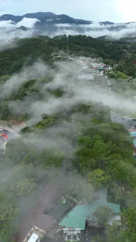 Đà lạt vẫn đẹp trên tiktok của mình rất đẹp 😋 #ptl #photobikerdalat #deoprenn #dalat 