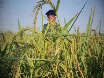 #mybrother #foryou #fyp #viral @꧁♛  Fado  ♛꧂ 