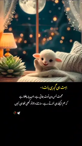 بہت ہی گہری بات #makeitviral #viewsproblem #unfrezzmyaccount #growmyaccount #urdupoetry 