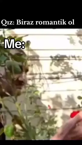 Ol deyr olaqda ə🤣🤣🗿🗿#mizah #viral #hikmətsovetsky #viralvideo #keşfet @R ✈🇦🇿  halal ele ürəym