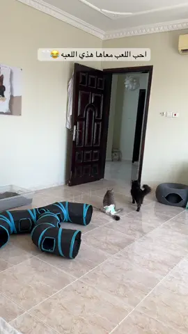 #foryou #اكسبلور 