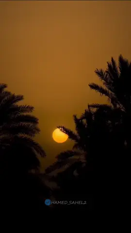 !کی امیدا ؟ #tiktok #explore #balochistan  #baloch