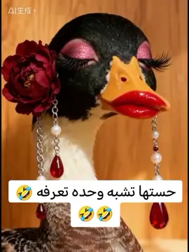 #تحسها #تشبه_وحده_اعرفها #😂😂 #ضحك #creatorsearchinsight 
