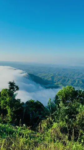 ফুরামন পাহাড় 🏔️  #ফুরামনপাহাড়  #furamonpahar  #pahar  #foryou  #fyp Pahar Rangamati