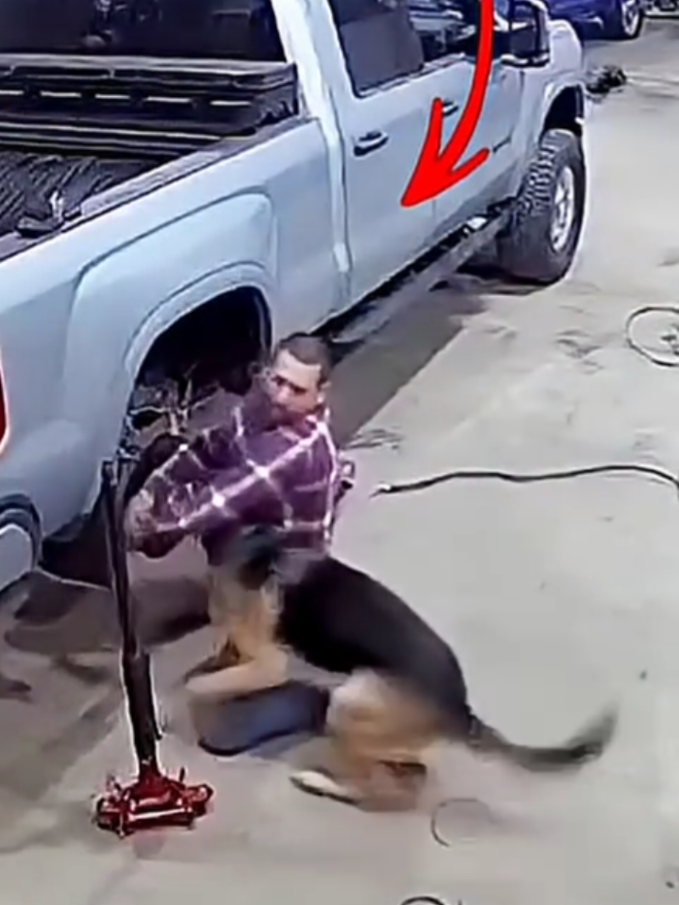 Watch how my dog pulled me & saved my life #foryou #viral #trending #shorts 