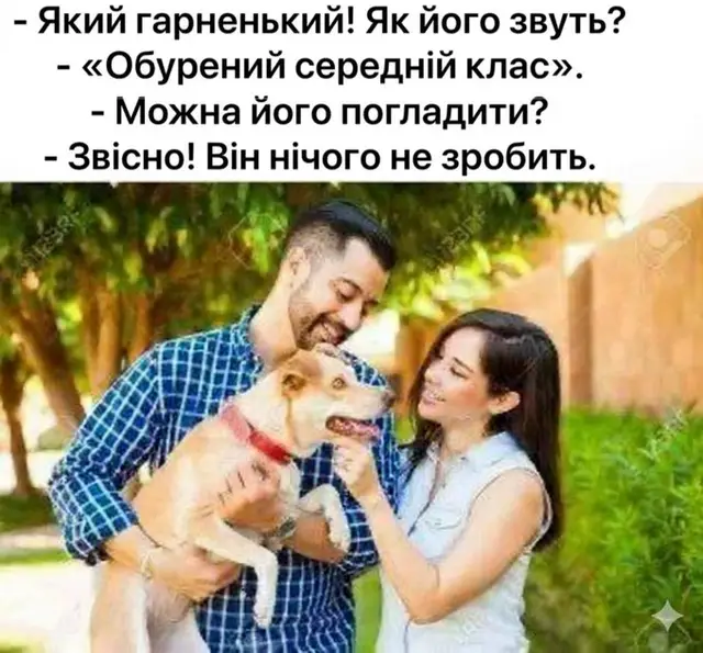 #dinoinarmy #trexstendup 