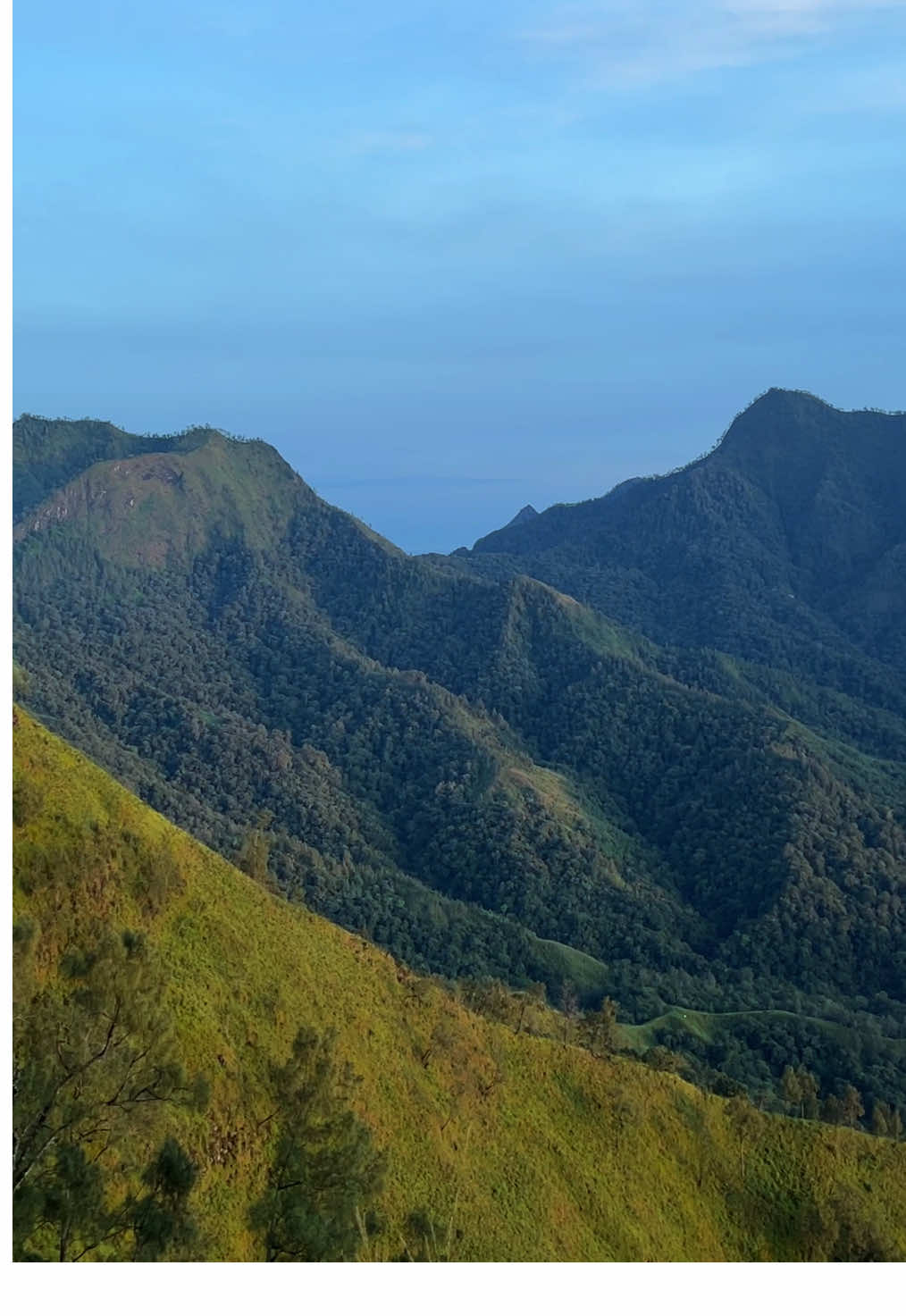 #wilisviajurangsenggani #gunungwilis #fyp #masukberanda 