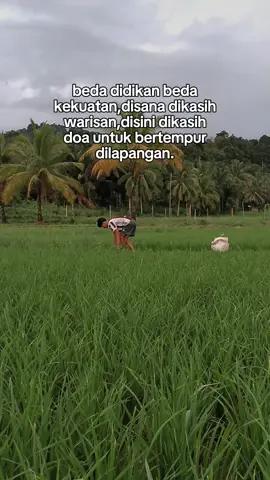 nan pantiang lai ba usaho,Kayo apo ndk nyo,itu ndk terlalu bapikian an bn dh... #kataminangpadiah #シ゚viral🖤tiktok #fyp #minanggalau😌 