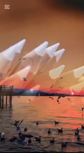 #كلمات_من_القلب #بوح #خواطر #fypシ゚ @✨ همس الحنين  ✨ 