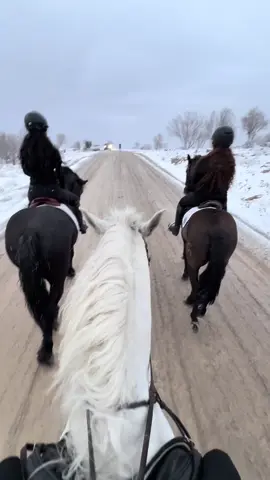#fyp #snow #winter #horseriding #horses 