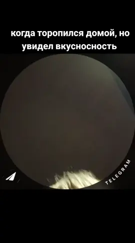 #пельмени #fyp #шутка #огэ #егэ #интерны #роблокс #природа #соул #вкусность 