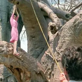 They were surrounded by animals.#movie #filmcommentary #foryou #usa#lmy51119sdyfk2 