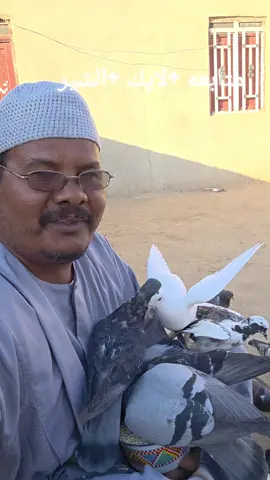 #الشعب_الصيني_ماله_حل😂😂 