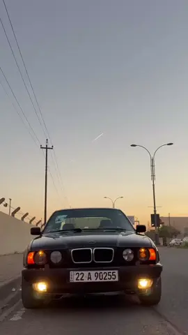 پەلاماری نانێک مەدە  کە پێت ناخورێت🖤#forypupage #ئەلەی525 #ماشاءالله_تبارك_الرحمن #ماشاءالله #kirkuk 