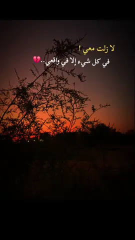#عباراتكم🥀 #💔🥀😔 #تصويري📸 #تصميم_فيديوهات🎶🎤🎬 #ابو_هلاك 