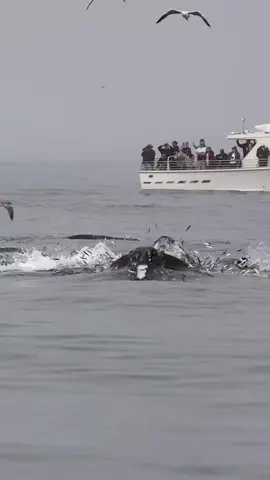 #اللهم_صل_على_محمد_وآل_محمد 