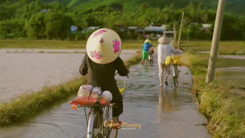 Có đôi khi buồn quá, tủi quá, người ta buột miệng nói: “Hay là bỏ xứ mà đi cho rồi.” Nhưng đi mô cho được, khi mỗi bước chân rời khỏi… là một bước nhớ. Ở quê, bình yên có, chật vật cũng có. Nhưng dù nghèo, dù vất vả, quê vẫn là nơi đứng đó đợi mấy đứa con tất bật phương xa. Đi để kiếm sống, để thoát nghèo, để bon chen giữa đời. Rồi lúc bị cuộc đời đánh cho vài bận, chỉ cần trở về…là thấy mình được vá lại một chút. Thấy thương hơn, thấy nhớ hơn, thấy bình yên trong từng hơi thở. Quê hương - muốn rời thì dễ miệng nói, chớ trái tim… có bước khỏi được bao giờ. #quehuong #peace #Kyuc #binhyen #colorofmemory 