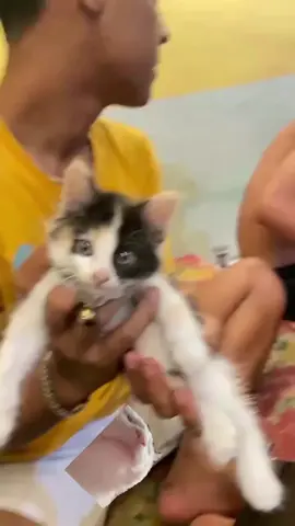 poky🐱#fyppppppppppppppppppppppp #kucinglucu 