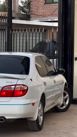 #مكسيما_عالم_لن_يفهمه_الا_من_امتلكه⚰️ #نيسان_مكسيما2008gv💚🔥 #اذكروالله_ماشاء_الله🖤✨ #طيروه_اكسبلورر📸💛 #ليبيا_طرابلس_مصر_تونس_المغرب_الخليج❤️🦅 