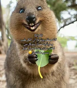 كيوت #fyp #explore 