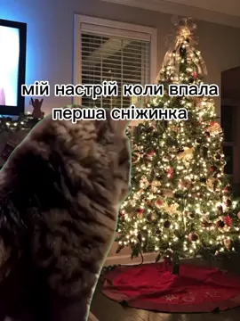 #CapCut саме зараз так #f #fyp #foryou #fyppppppppppppppppppppppp 