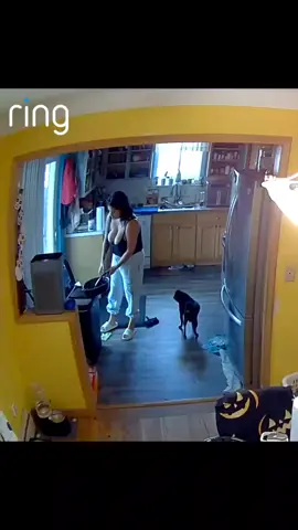 Proof that I occasionally participate in adulting. Don't worry, the mess will be back next week. 🧹 #DeepClean #fyp 