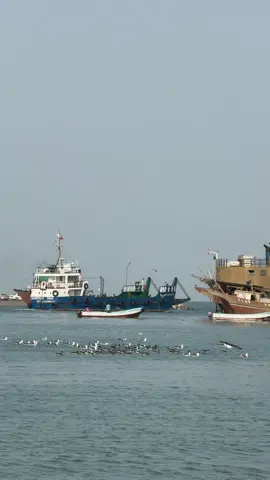 جزيرة مصيرة #اكسبلور #تصويري #عمان🇴🇲 #بحر 