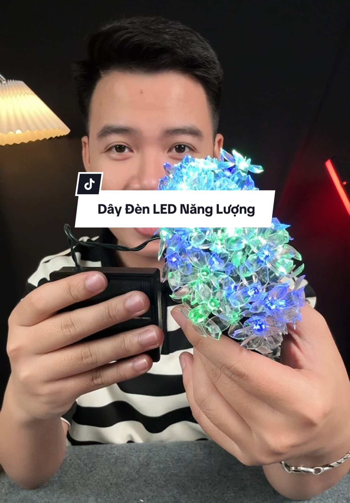 Dây Đèn LED Năng Lượng #daydenledtrangtri #daydenled 