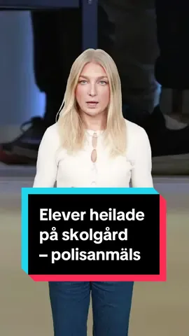 På en bild från skolans fotbollsplan syns ett 30-tal personer. Flera av dem heilar och nu har skolan polisanmält eleverna. Reporter: Erica Eneström #skola #stockolm #elever #polisanmälan