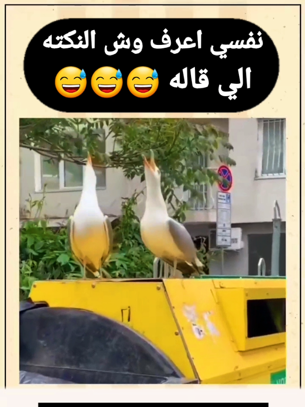 مقاطع مضحكه  #مشاهير_تيك_توك_مشاهير_العرب #تيك_توك #creatorsearchinsights #مشاهدات #ترند 