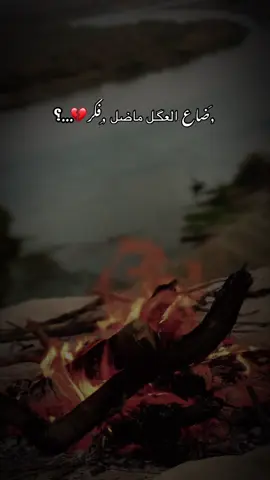 ضاع العكل ماضل فكر 💔…؟ #تصويري_احترافي_الاجواء👌🏻🕊😴 #اكسبلور #مشاهدات100k🔥 #تصويري📸 